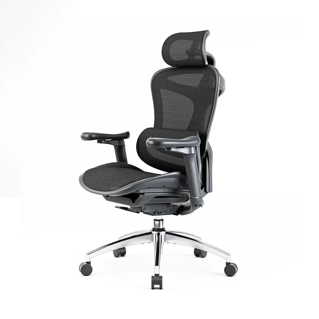 SIHOO Doro C300 vs Steelcase Leap: Which Should You Buy? product comparison