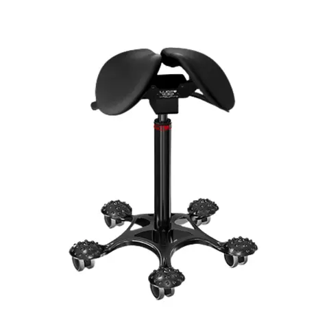 Salli SwingFit