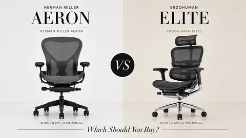 Herman Miller Aeron vs Ergohuman Elite: Which Should You Buy?