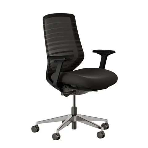 Branch Ergonomic Chair