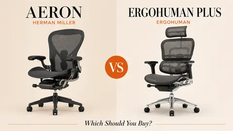 Herman Miller Aeron vs Ergohuman Plus: Which Should You Buy?