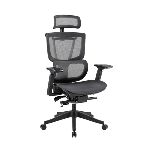 FlexiSpot C7