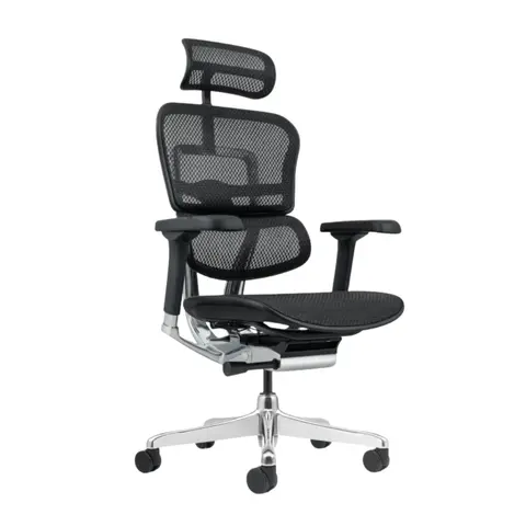 Ergohuman Plus