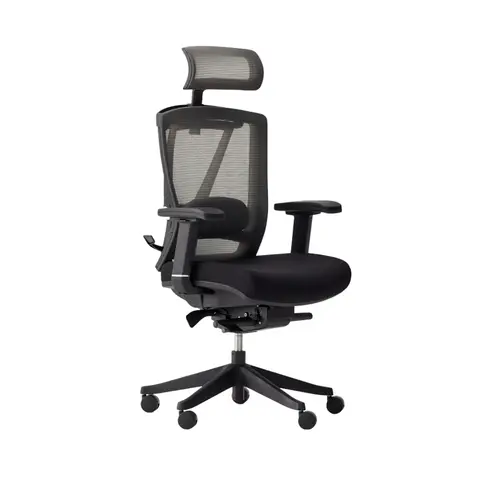 Autonomous ErgoChair Pro