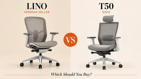 Herman Miller Lino vs Sidiz T50: Which Should You Buy?